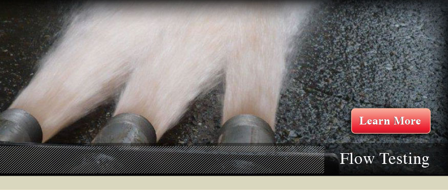 home-slider-4-sprinkler-system-protection-alarm-confidence-testing-service-repair-seattle